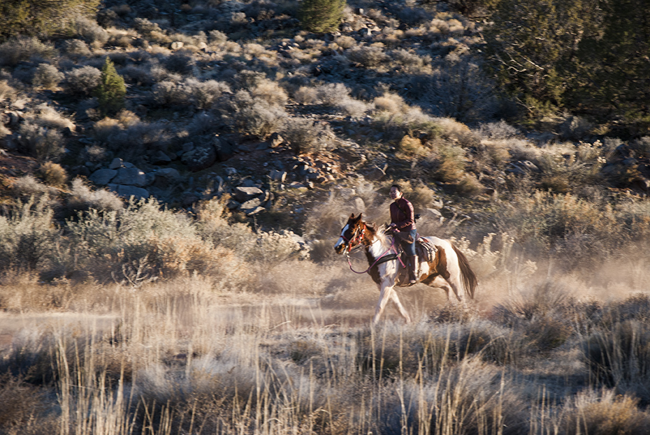 Zion Travel Photo Diaries
