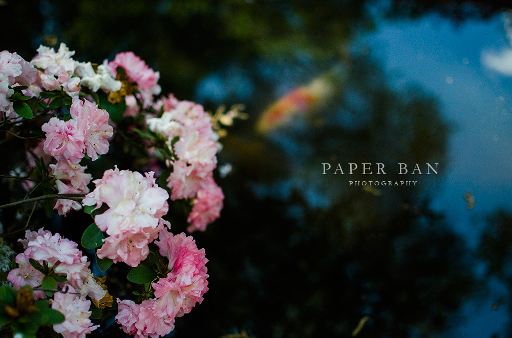 PaperBanPhotography_LosAngelesPhotographer_Spring_05