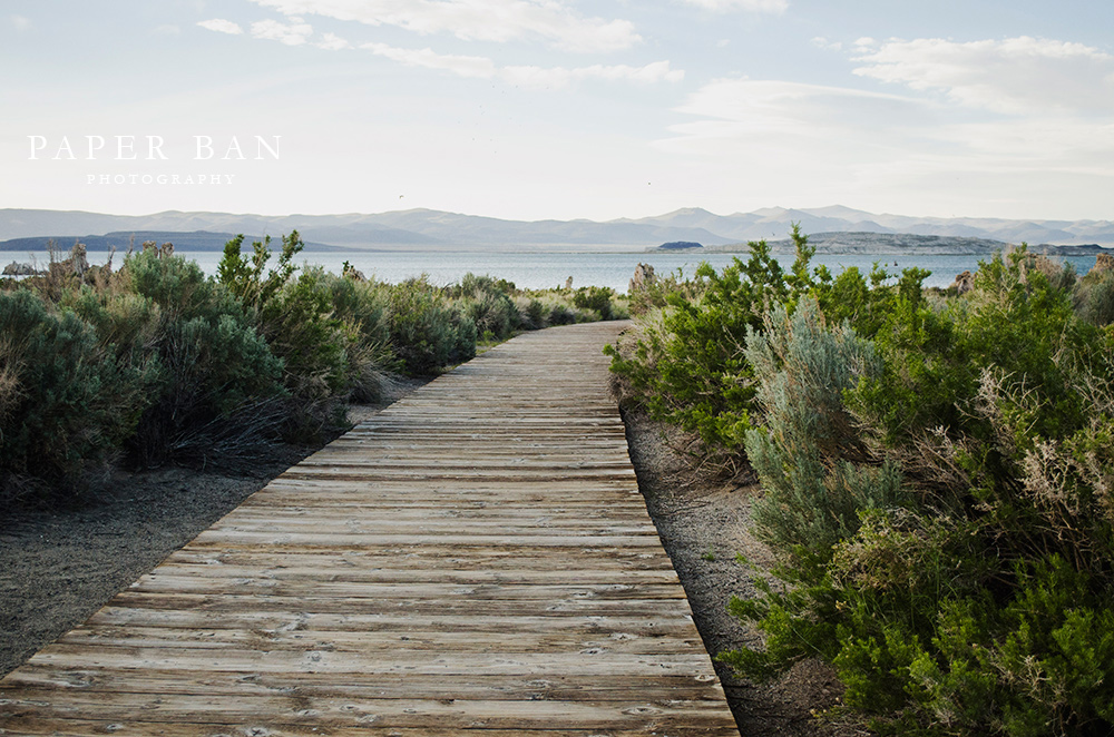 Travel Photography Mono Basin