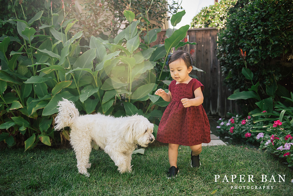 Dallas Family Portrait Photographer