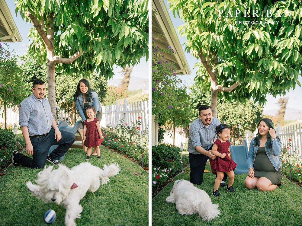 Dallas Family Portrait Photographer