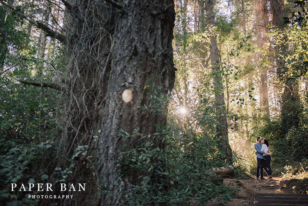 Muir Woods Engagement Portrait Photographer