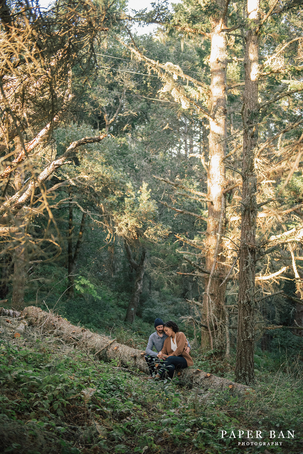 Muir Woods Engagement Portrait Photographer